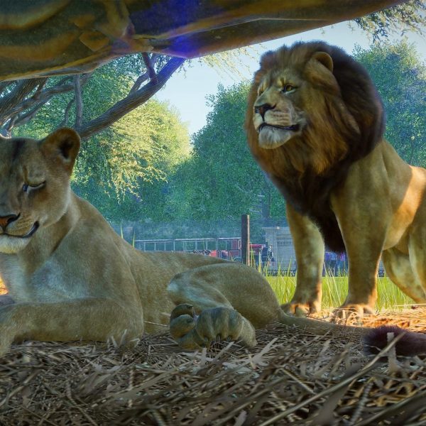Planet Zoo Steam Account - Image 4