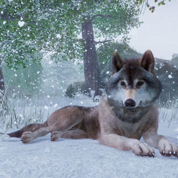 Planet Zoo Steam Account - Image 6