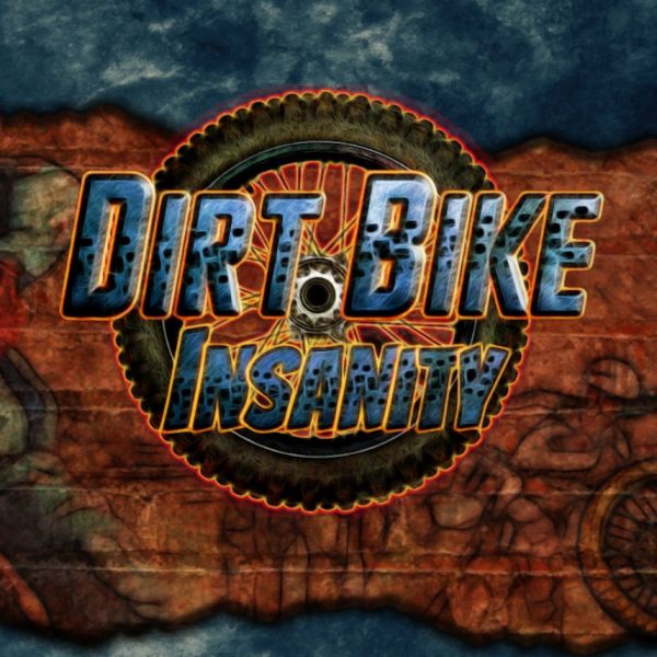 Dirt Bike Insanity Steam CD Key