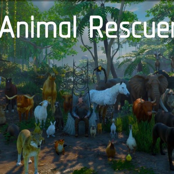 Animal Rescuer Steam CD Key