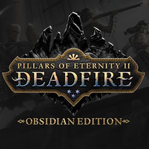 Pillars of Eternity II: Deadfire Obsidian Edition EU Steam CD Key