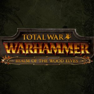 Total War: Warhammer - Realm of The Wood Elves DLC Steam CD Key