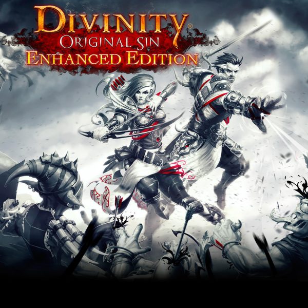 Divinity: Original Sin Enhanced Edition Steam Gift