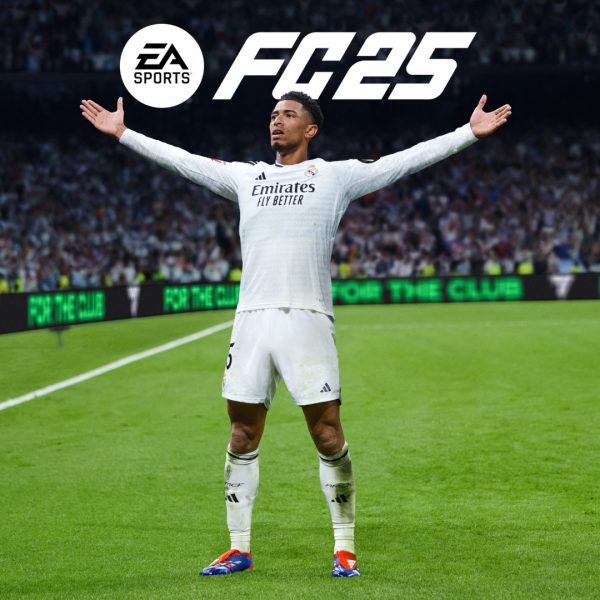 EA SPORTS FC 25 PC Steam Account