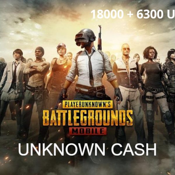 PUBG Mobile - 18000 + 6300 UC Key