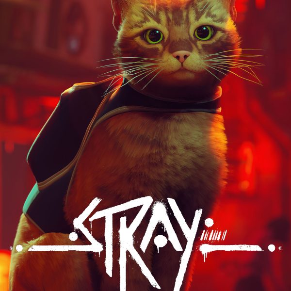 Stray Steam Altergift